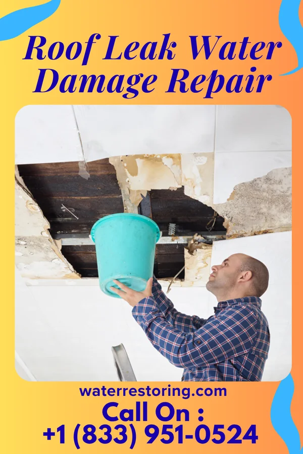 Roof Leak Water Damage Repair in Edgewater, FL