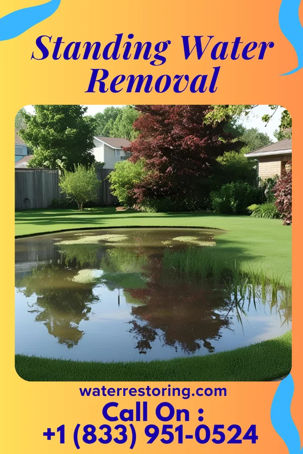 Standing Water Removal in Edgewater, FL